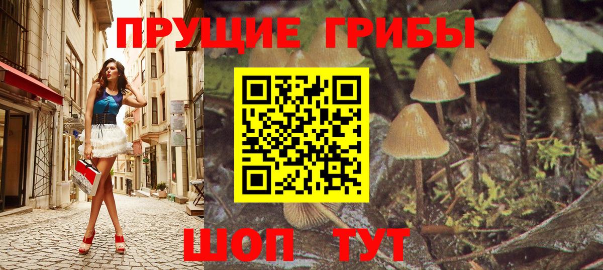 Галлюциногенные грибы GOLDEN TEACHER  Вход с VPN  Когалым  Галлюциногенные грибы Magic Shrooms 